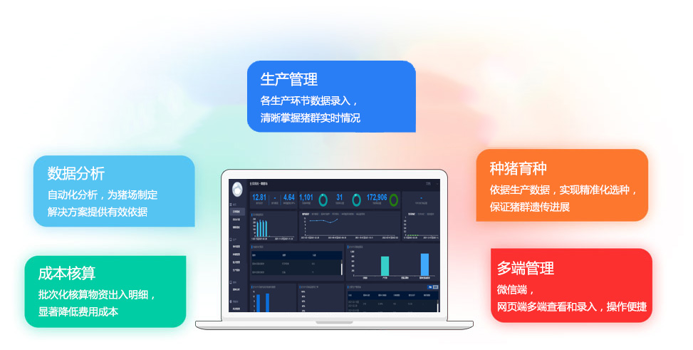 数据与信息化治理_USDT数字钱包