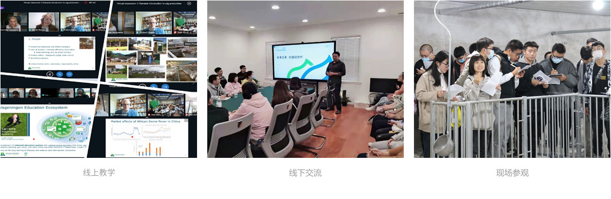 教育与培训_USDT数字钱包